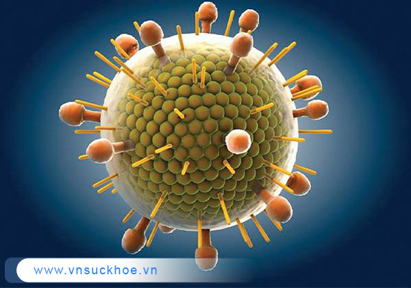 Virus quai bị gây viêm tinh hoàn